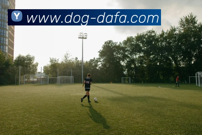 大发娱乐品牌故事